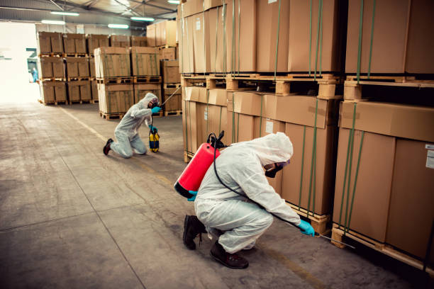 Best Best Pest Control Companies  in West Memphis, AR