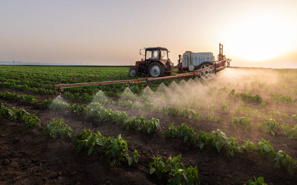Best Best Pest Control Companies  in West Memphis, AR