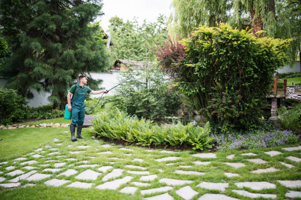 Best Best Pest Control Companies  in West Memphis, AR