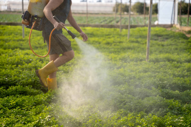Best Pest Inspection Near Me  in West Memphis, AR