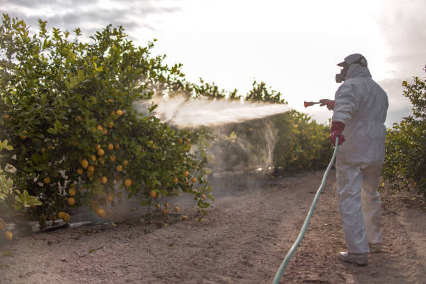 Pest Control Cost in West Memphis, AR