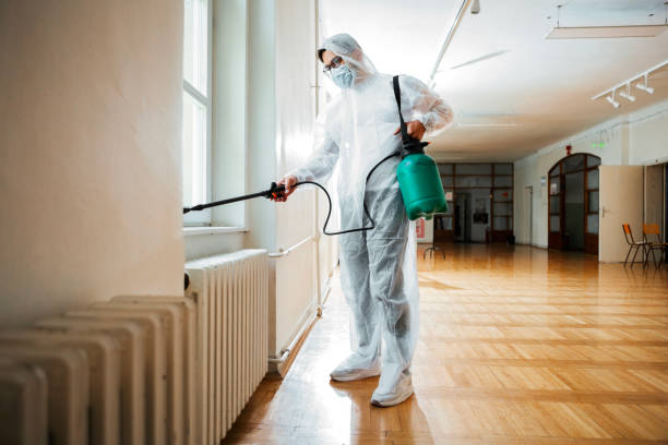 Reliable West Memphis, AR Pest Control Solutions